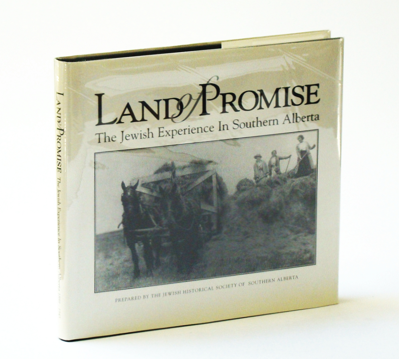 Image for Land of promise: The Jewish experience in Southern Alberta