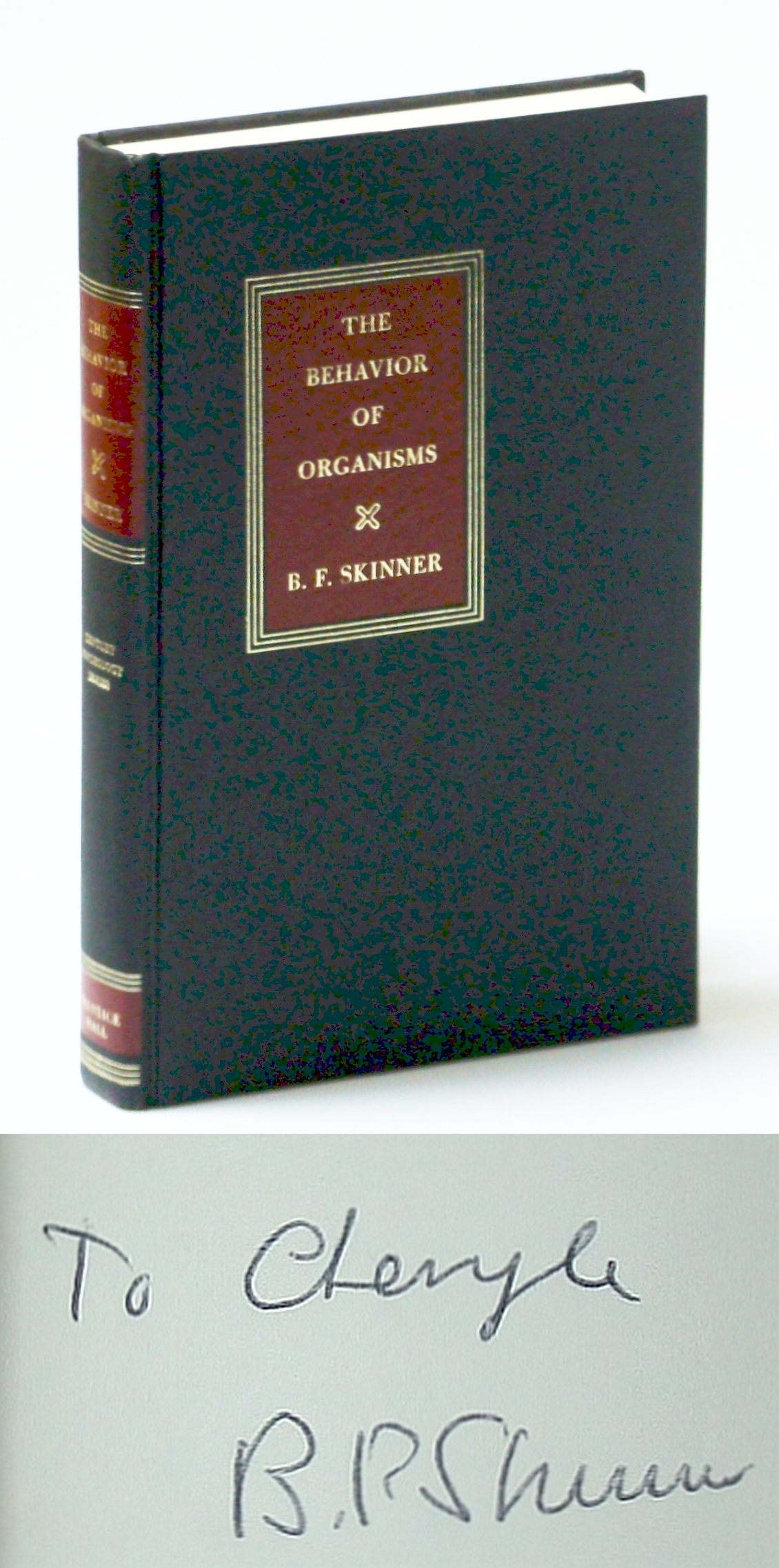 Image for The Behavior of Organisms - An Experimental Analysis: The Century Psychology Series