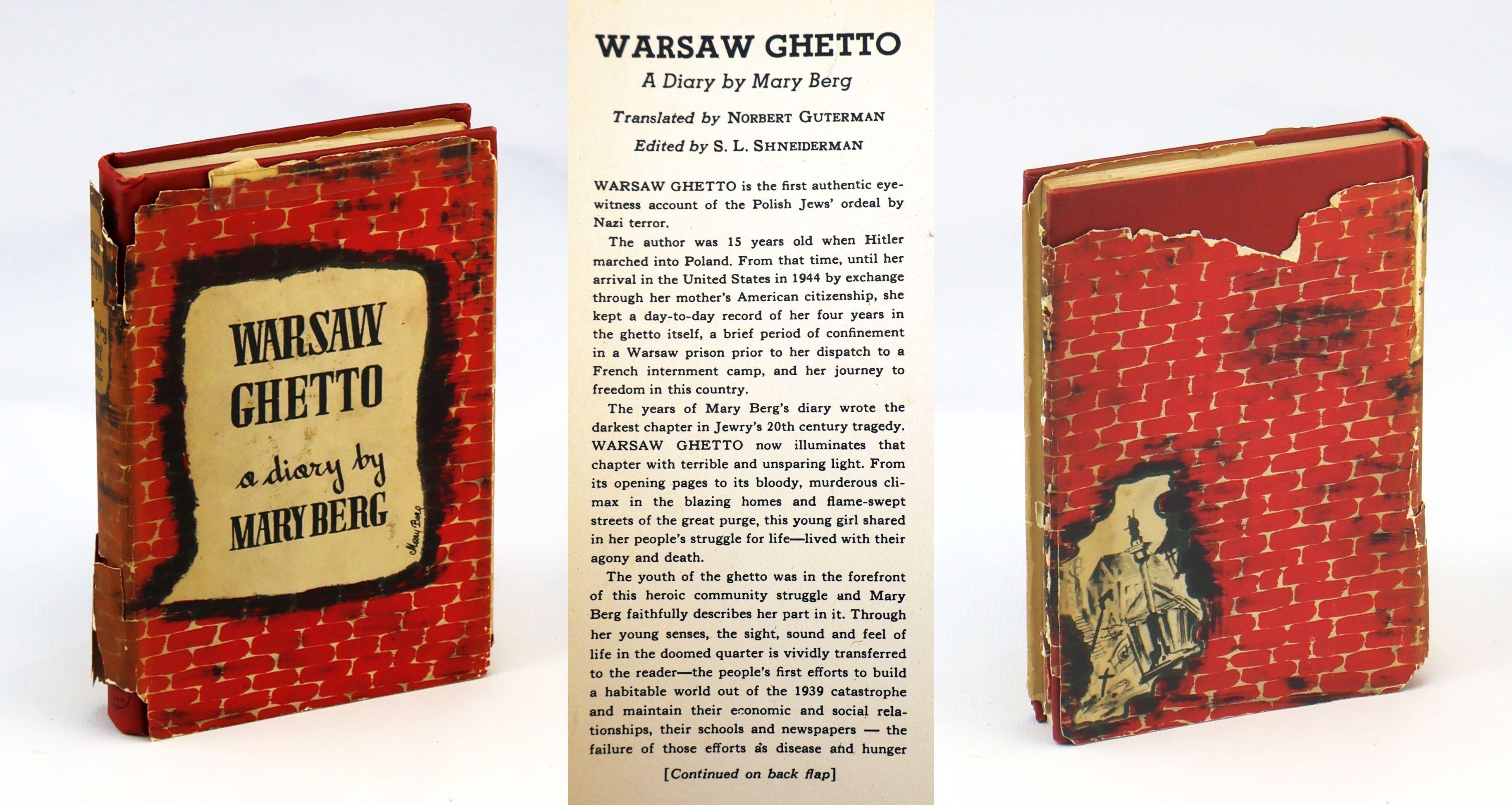 Warsaw Ghetto - A Diary