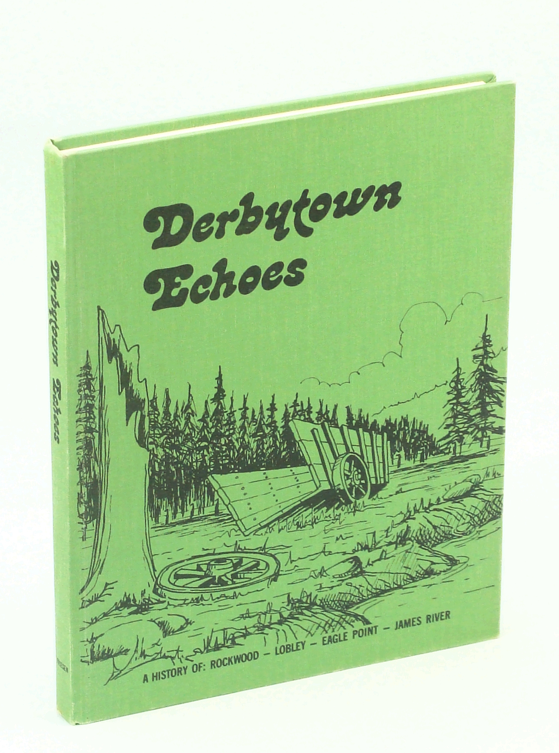 Image for Derbytown Echoes - A History of Rockwood, Lobley, Eagle Point, James River [Alberta Local History]