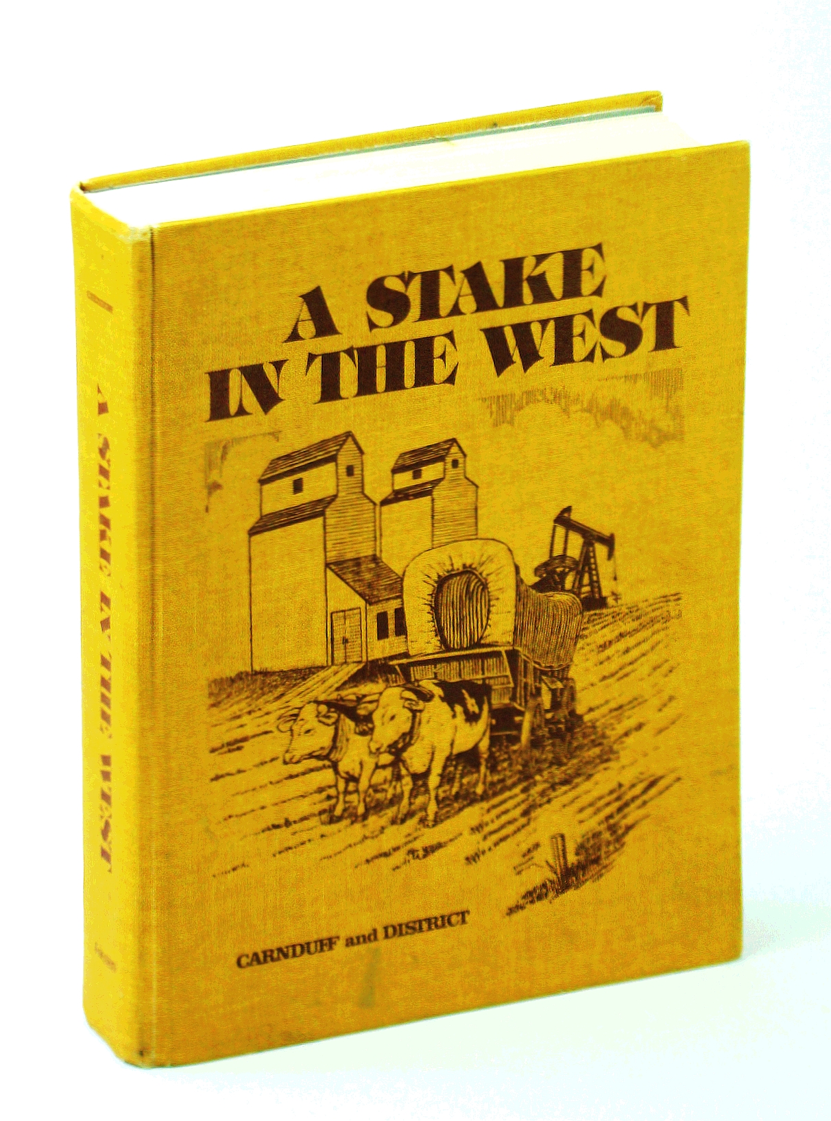 A Stake in the West: Carnduff and District [Saskatchewan Local History ...