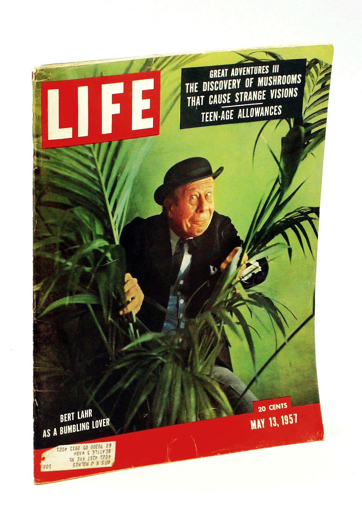 Image for Life Magazine, May 13, 1957 - Seeking the Magic Mushroom