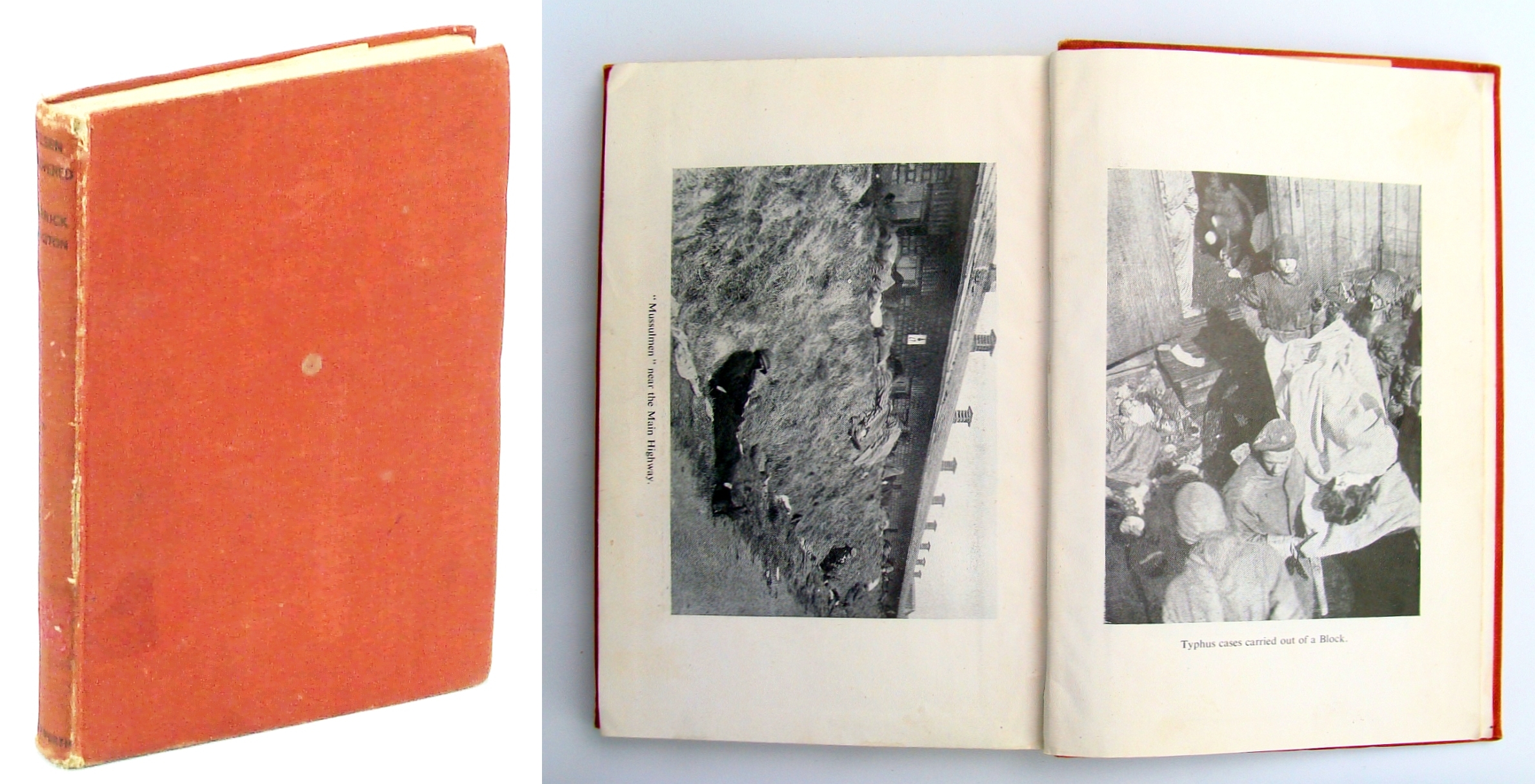 Image for Belsen Uncovered
