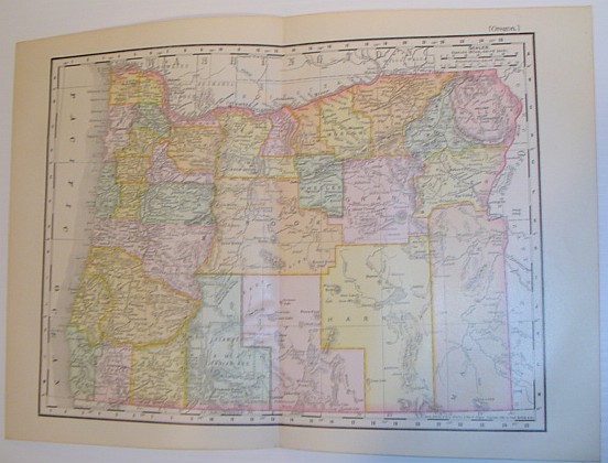Image for Rand McNally's 1895 Colour Map of the State of Oregon