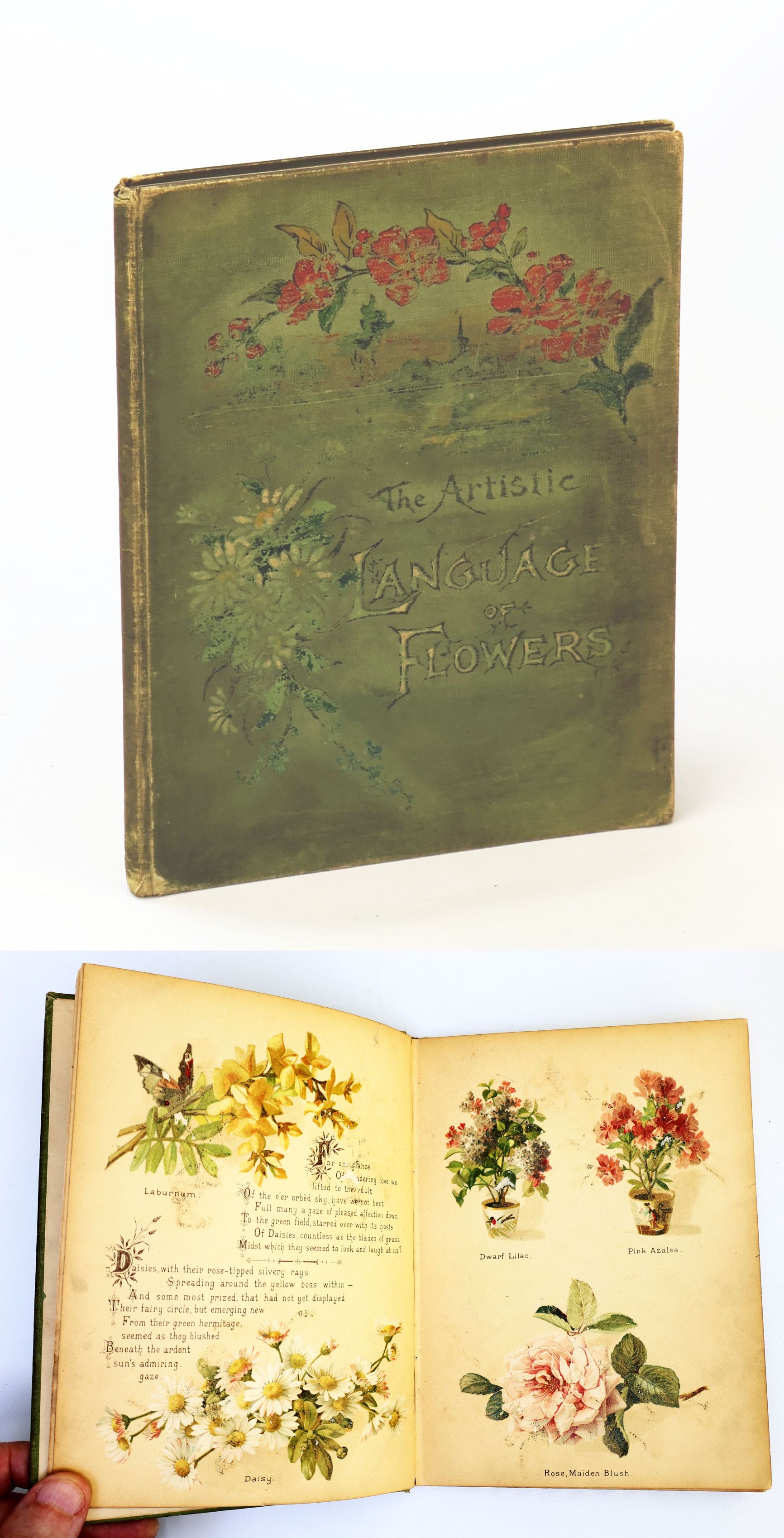 The Artistic Language of Flowers