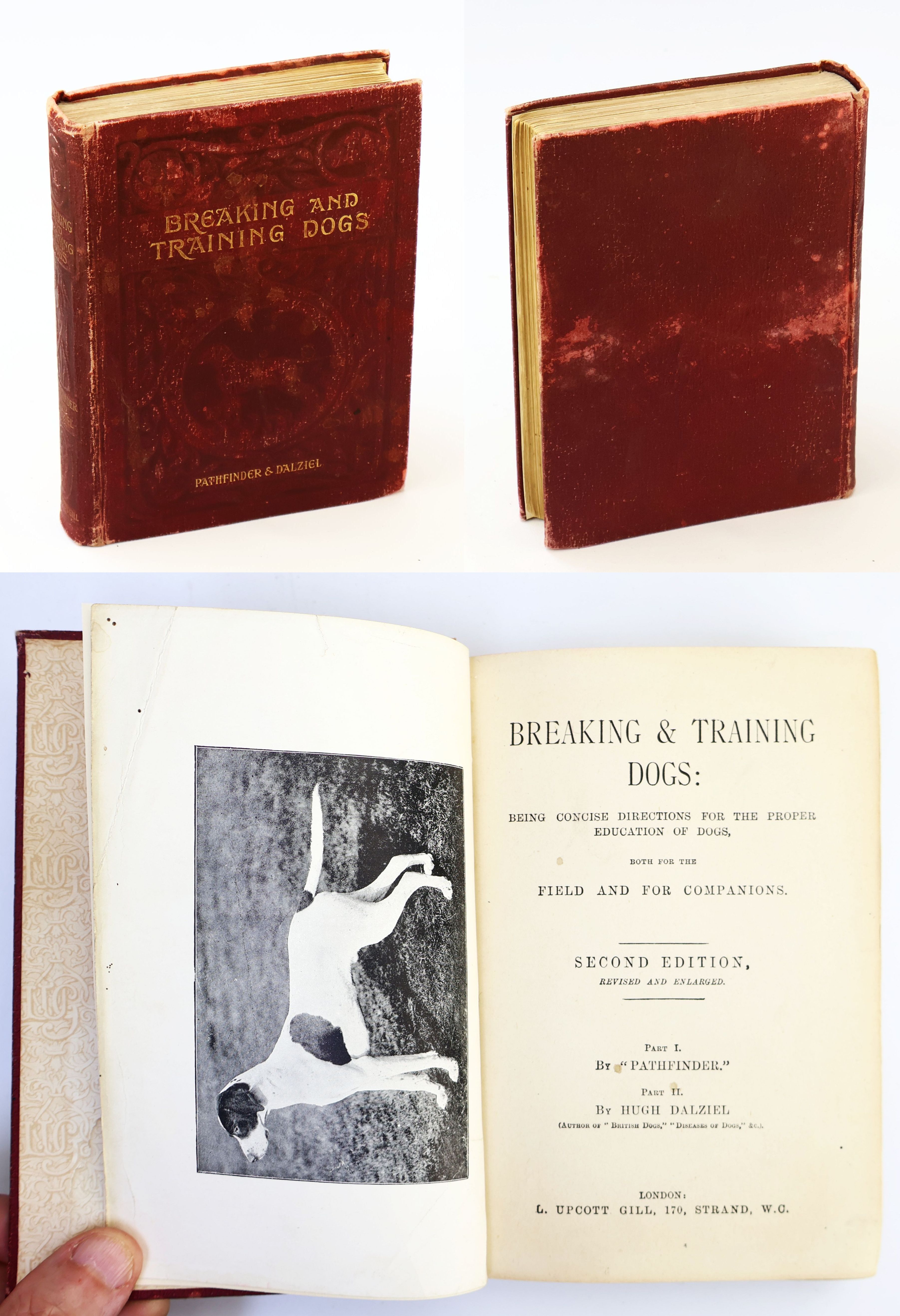 Breaking & Training Dogs: Being Concise Directions For the Proper Education of Dogs, Both for the Field and for Companions