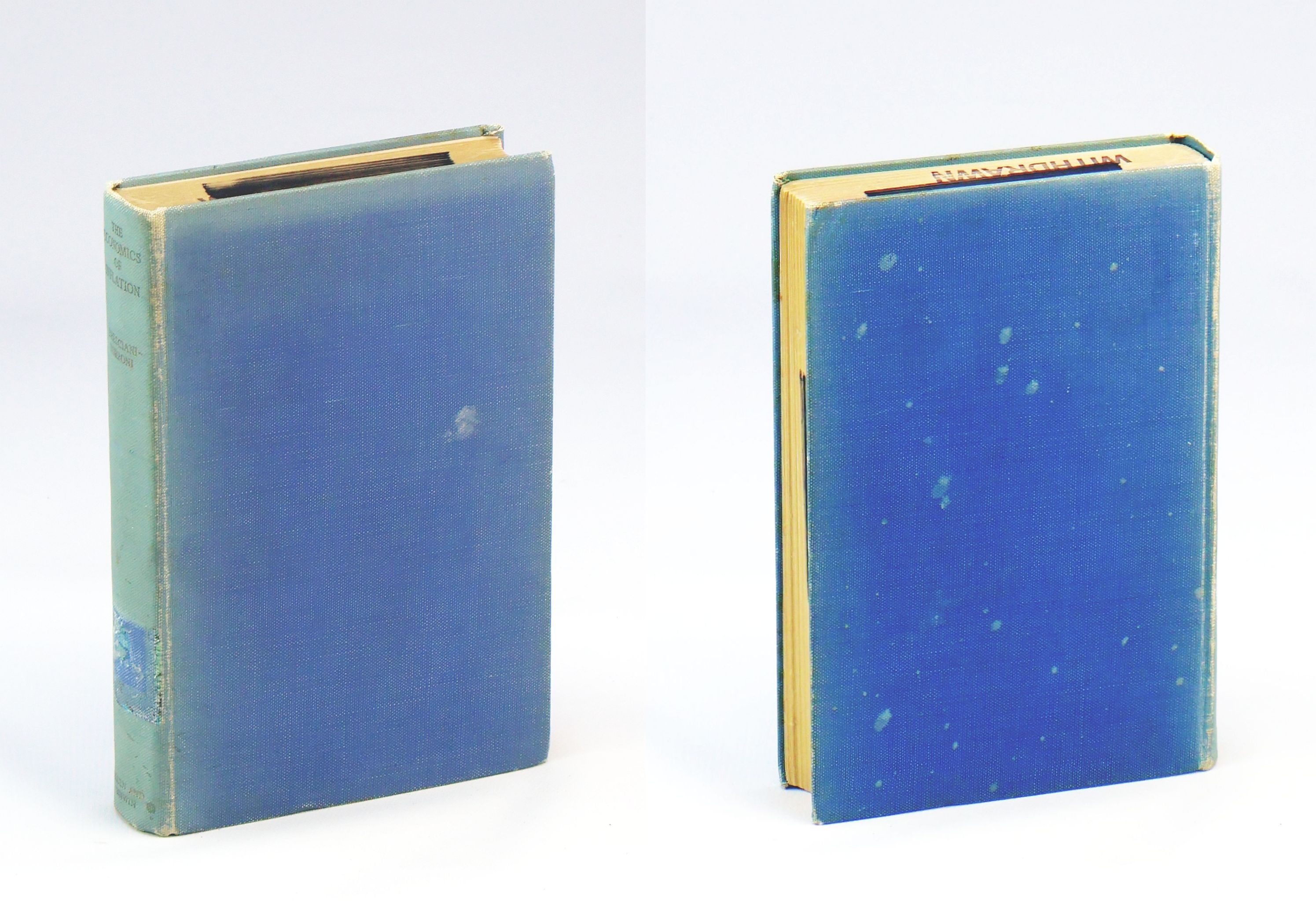 Image for The Economics of Inflation: A Study of Currency Depreciation in Post-War Germany 1914-1923:  Sir Halley Stewart Publications IV