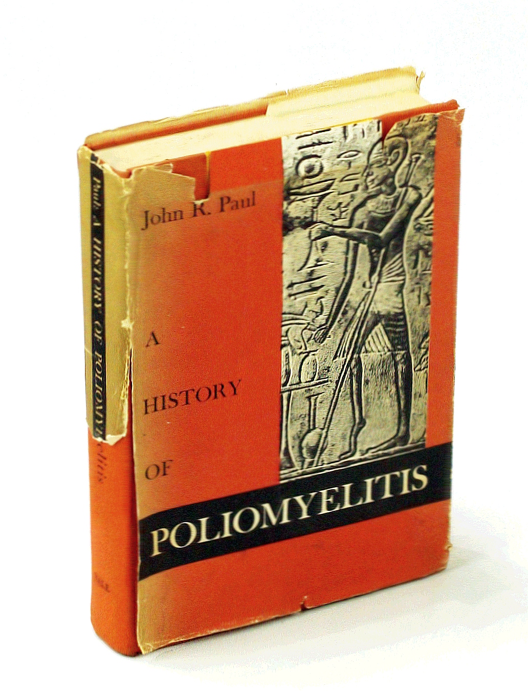 Image for A History of Poliomyelitis - Yale Studies in the History of Science and Medicine, 6
