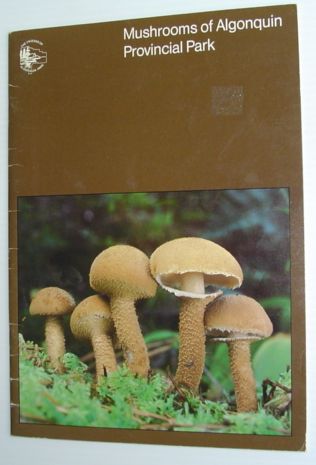Image for Mushrooms of Algonquin Provincial Park