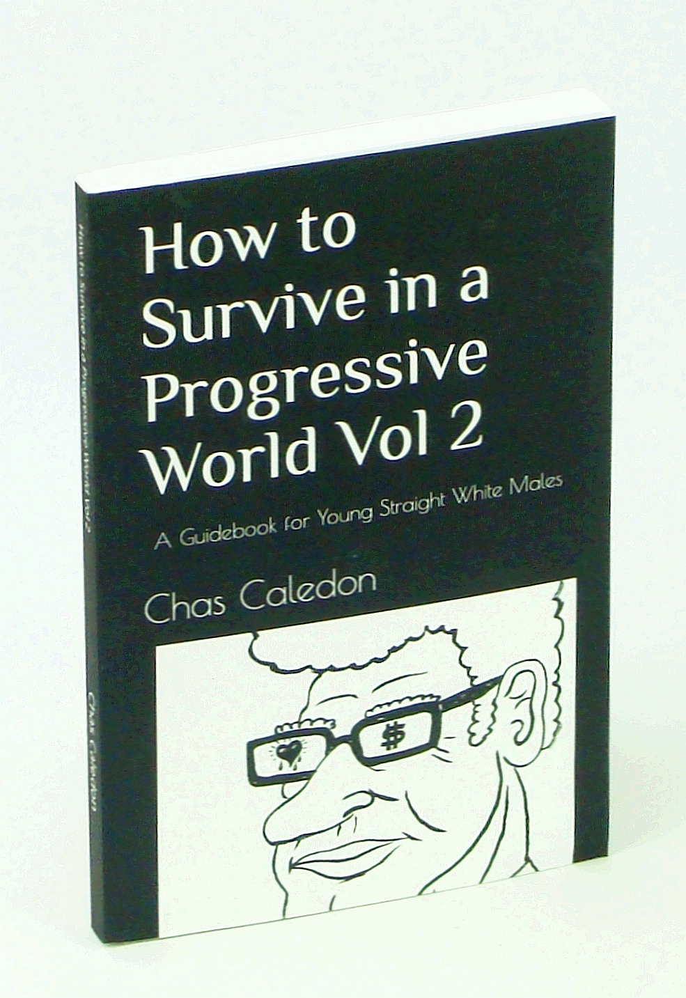 Image for How to Survive in a Progressive World, Volume 2: a Guidebook for Young Straight White Males