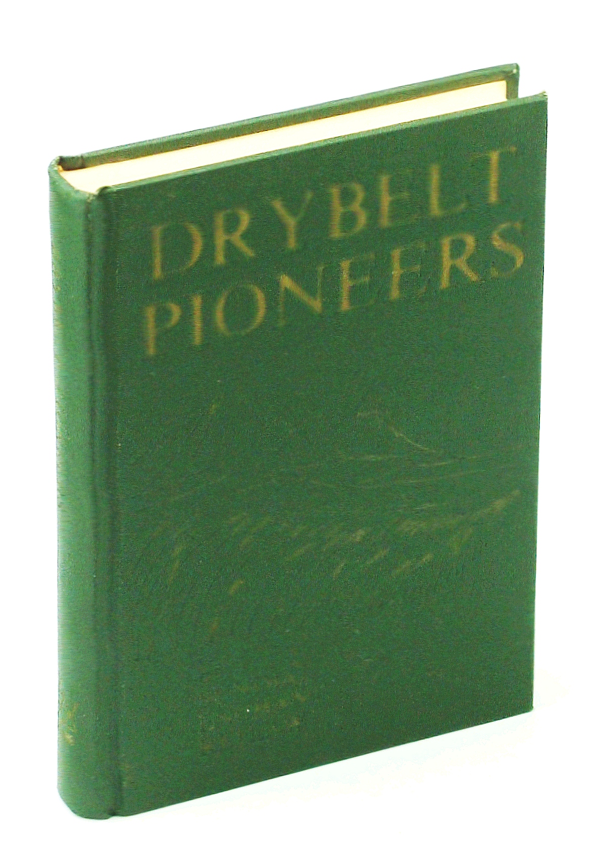 Image for Drybelt Pioneers of Sundial, Enchant, Retlaw [Alberta Local History]