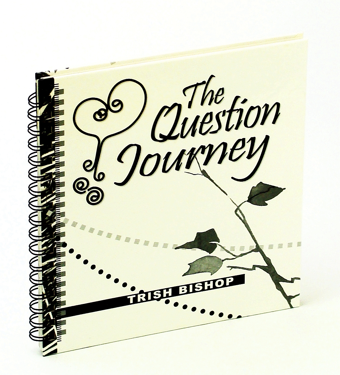 Image for The Question Journey