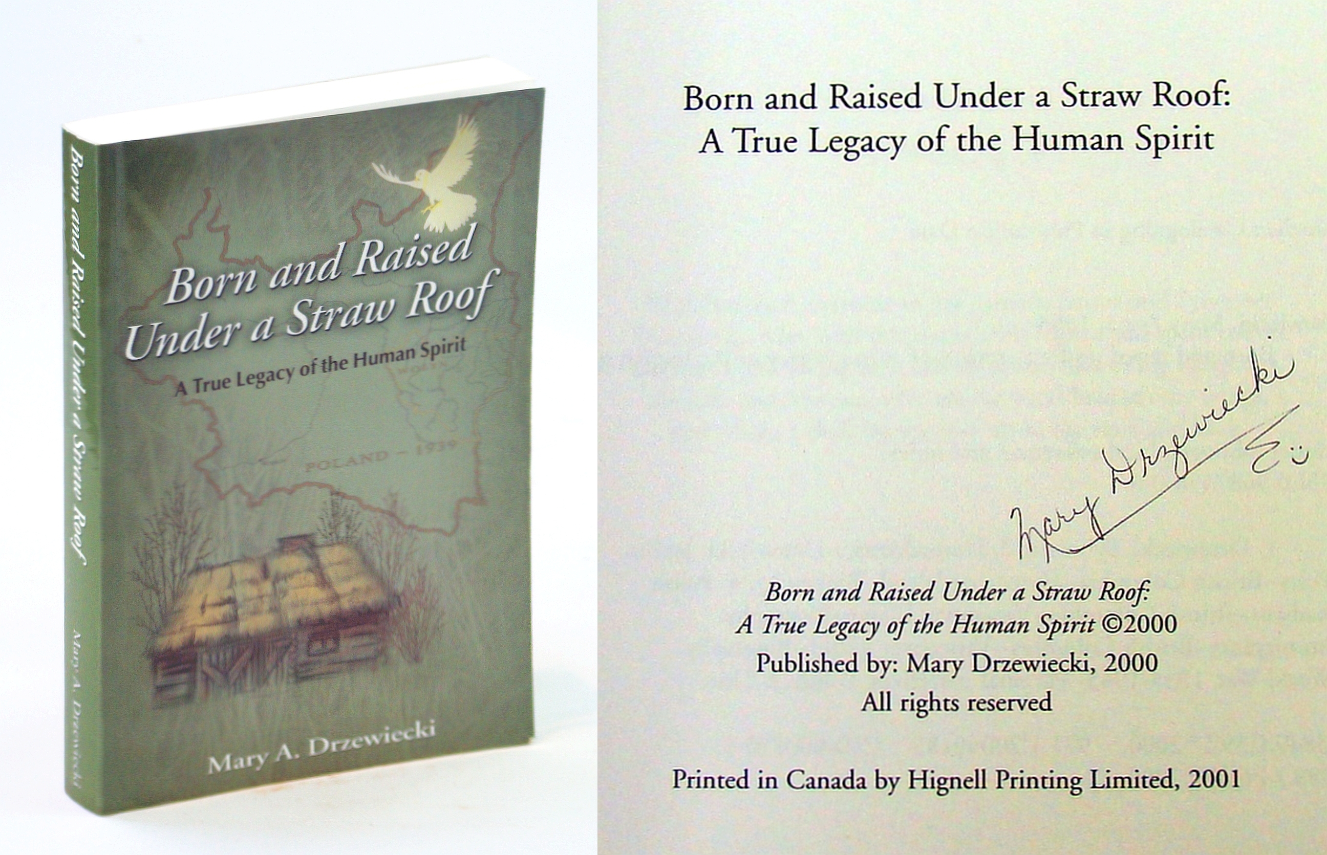 Image for Born and raised under a straw roof: A true legacy of the human spirit