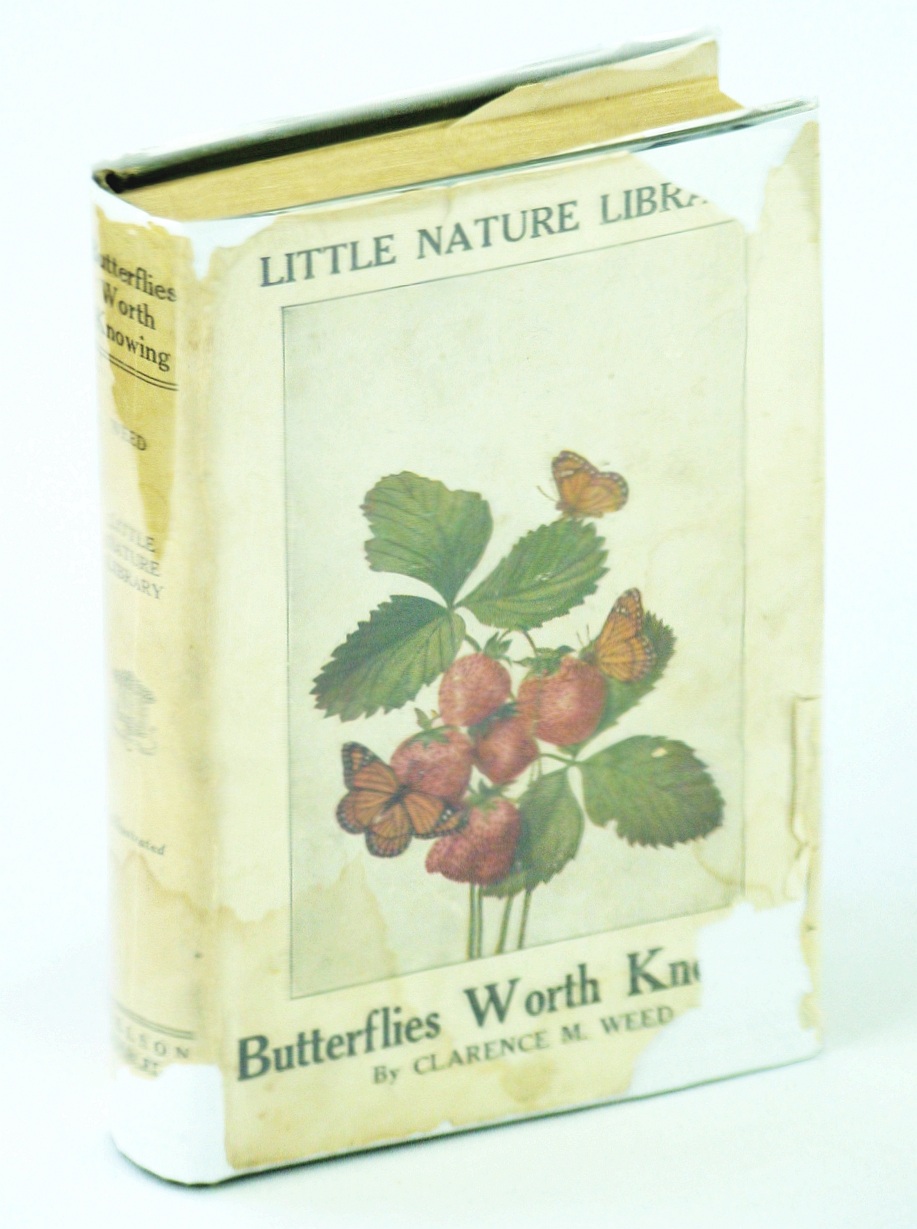 Image for Butterflies Worth Knowing,