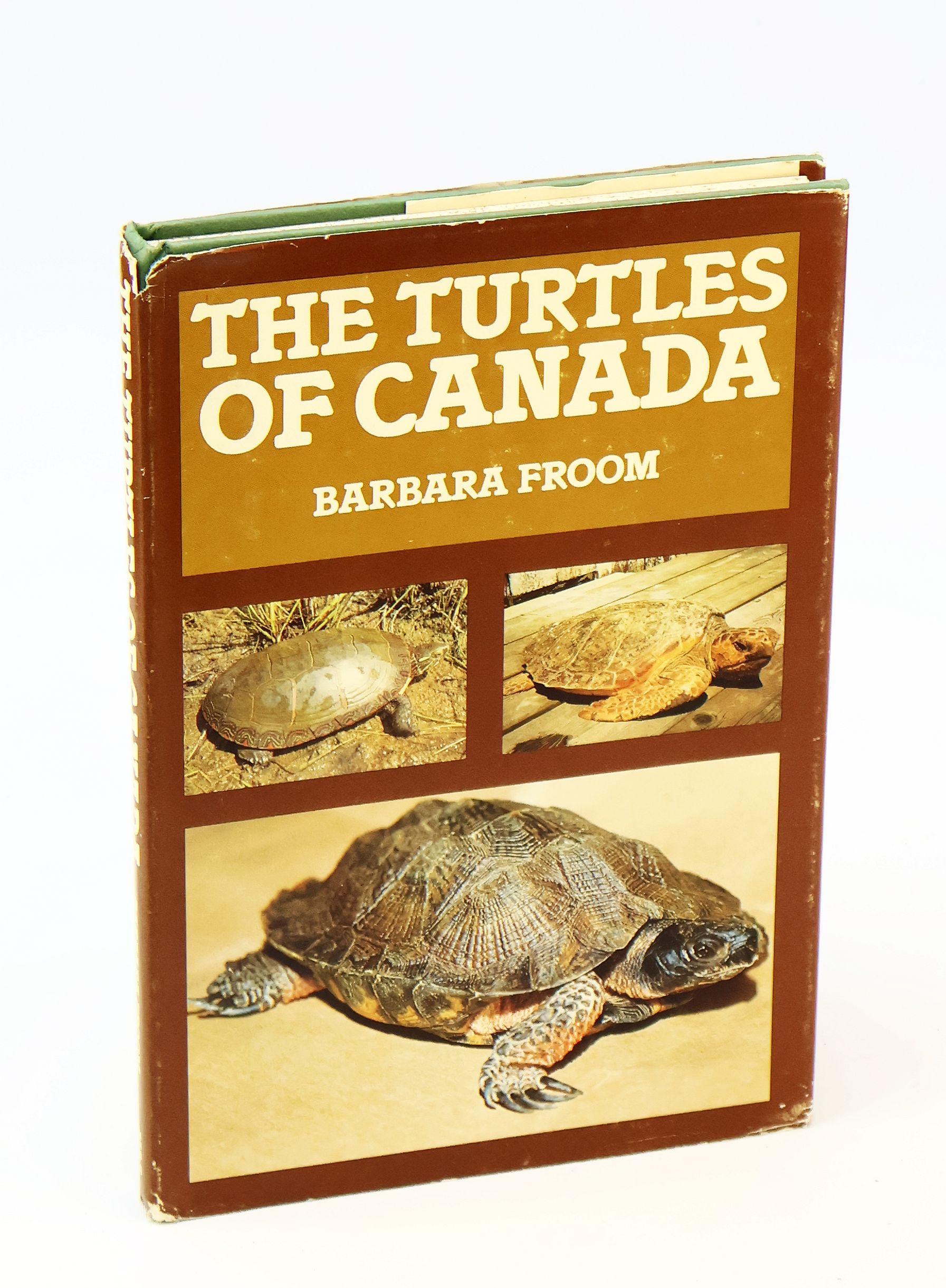 Image for The Turtles of Canada The Turtles of Canada