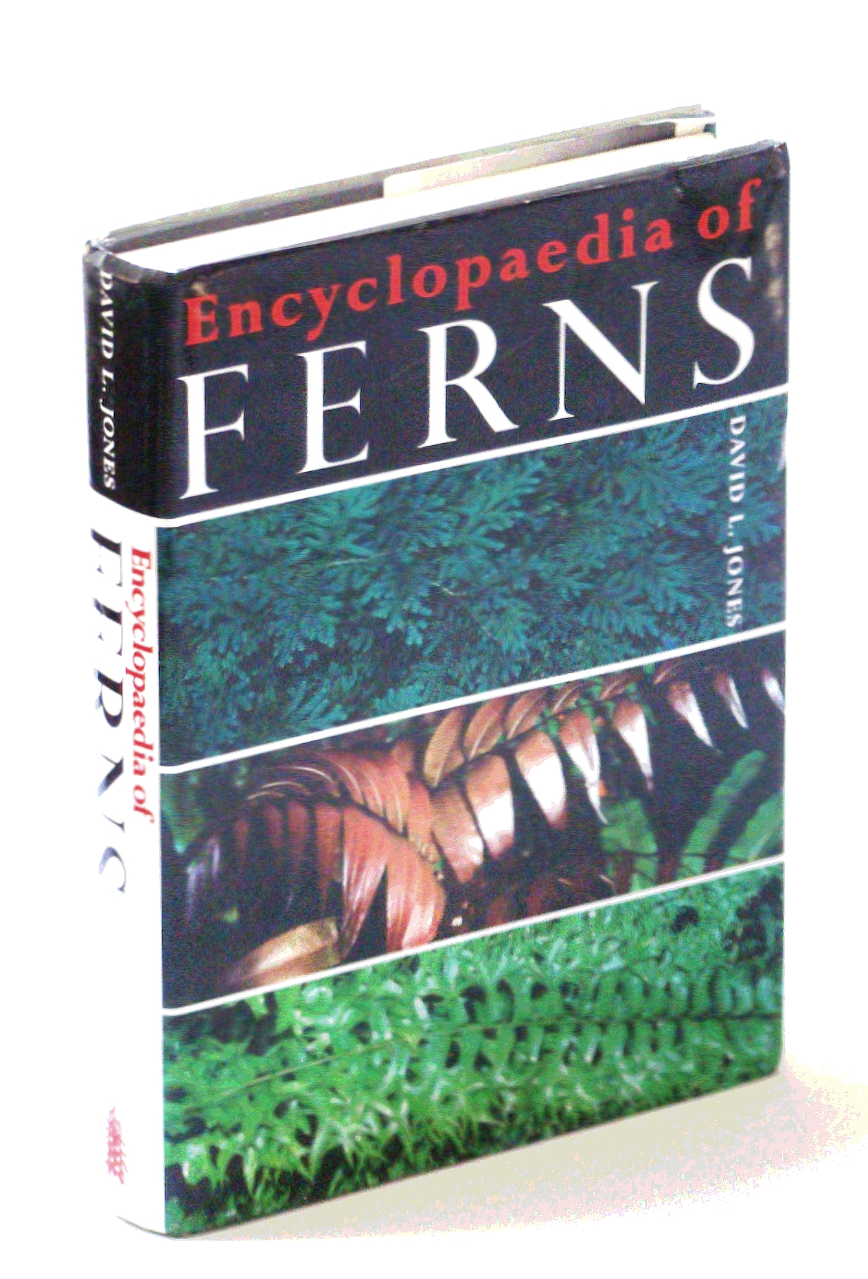 Image for Encyclopaedia [Encyclopedia] of Ferns: An Introduction to ferns, Their Structure, Biology, Economic Importance, Cultivation and Propagation