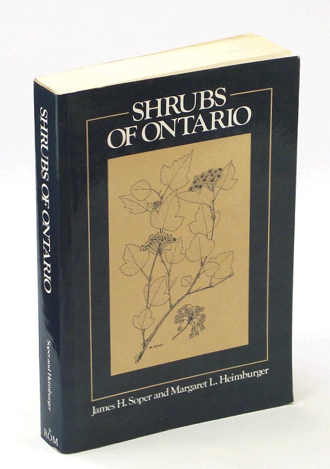 Image for Shrubs of Ontario