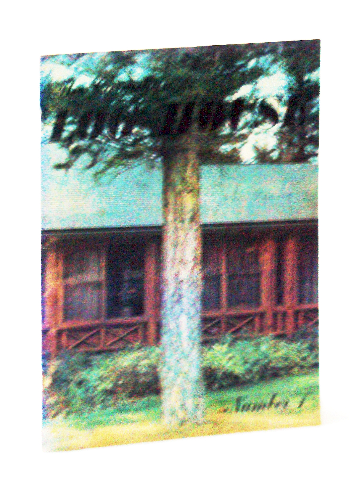 Image for The Canadian Log House - Number 1