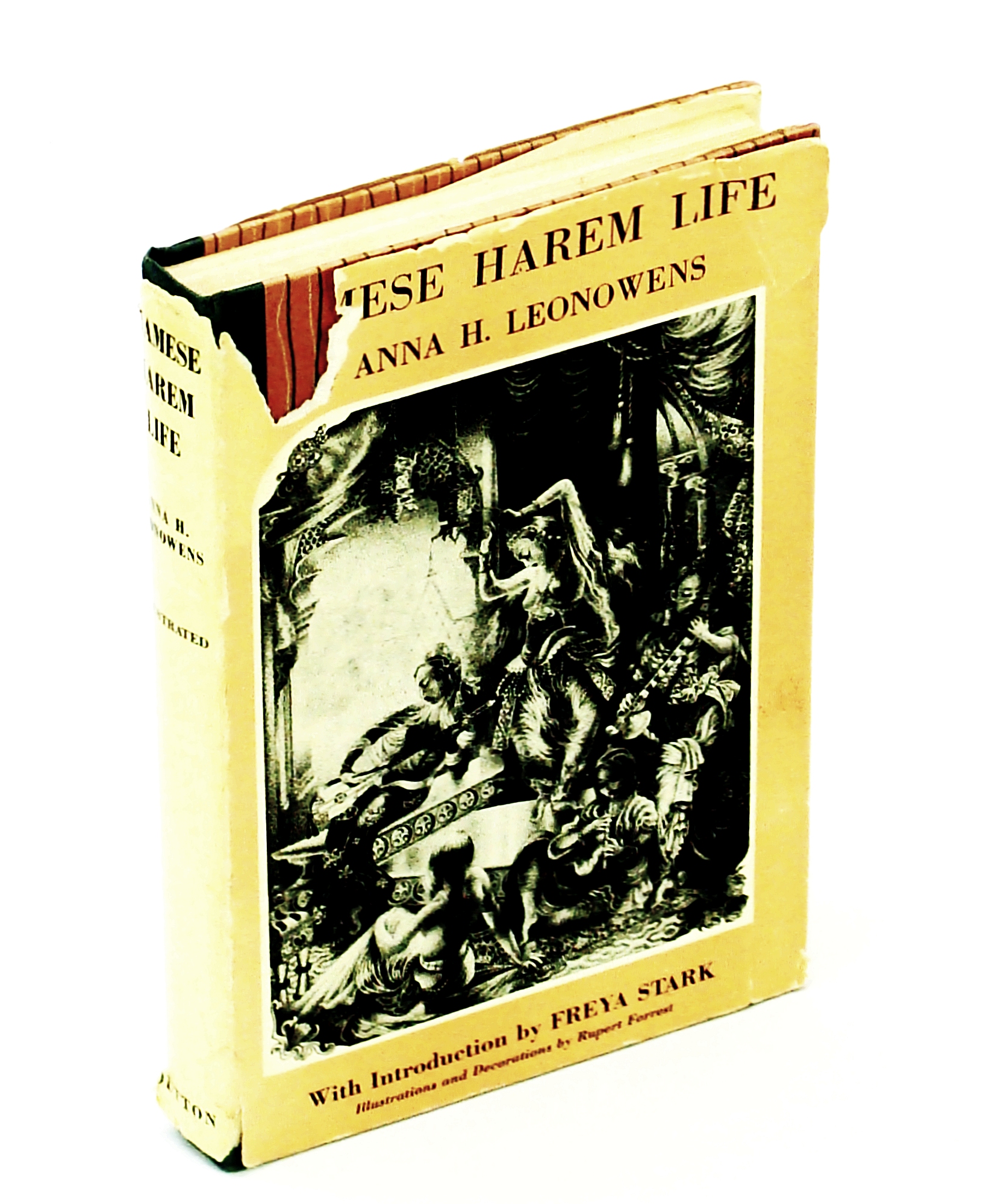 Image for Siamese Harem Life