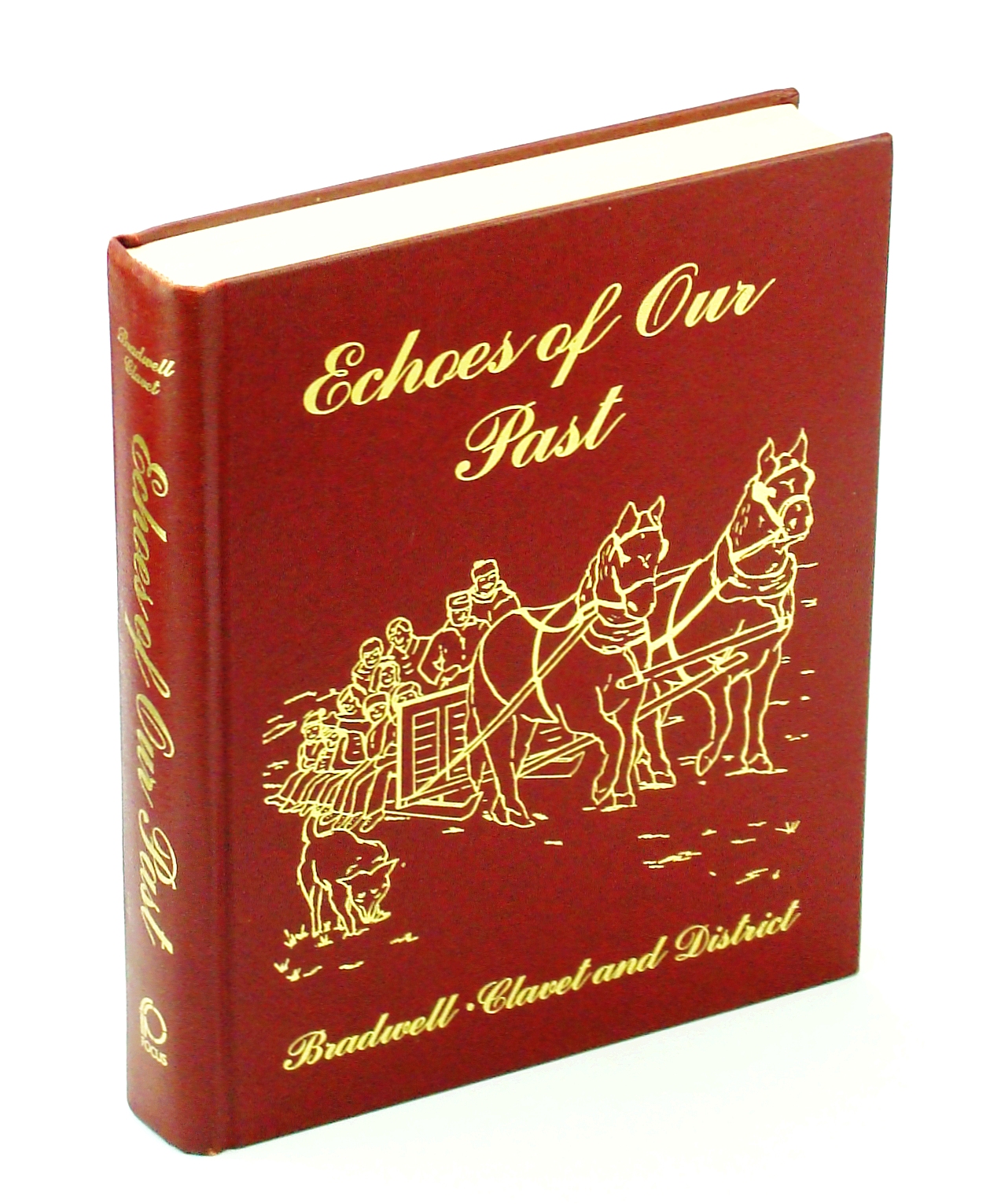 Image for Echoes of Our Past: Bradwell, Clavet and District [Saskatchewan Local History]