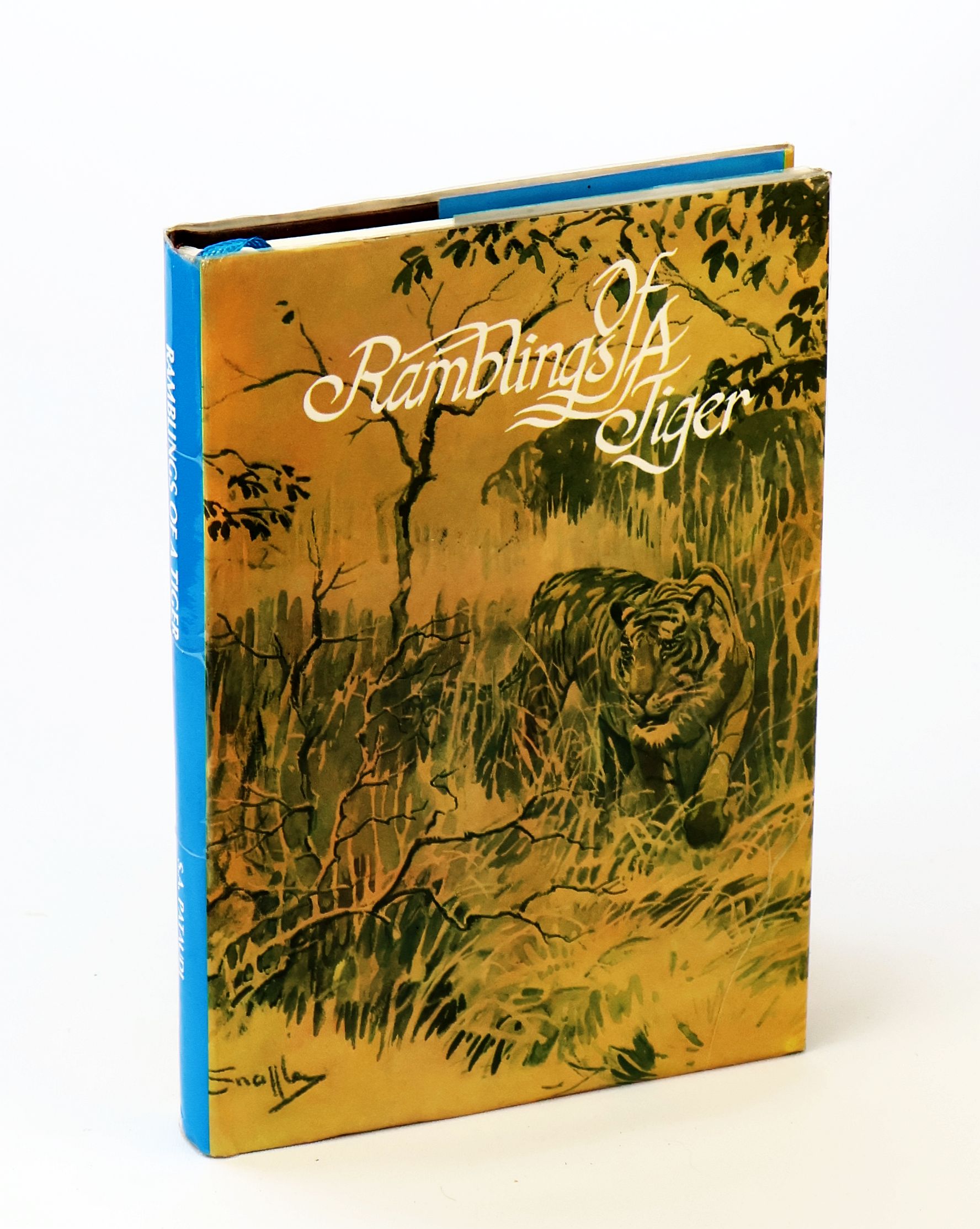 Ramblings of a Tiger