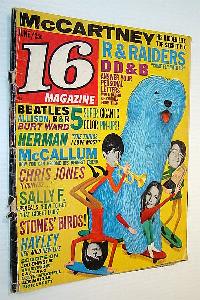 Image for 16 (Sixteen) Magazine, June 1966, Volume 8, Number 1 - Burt Ward (Robin) Color Pin-up