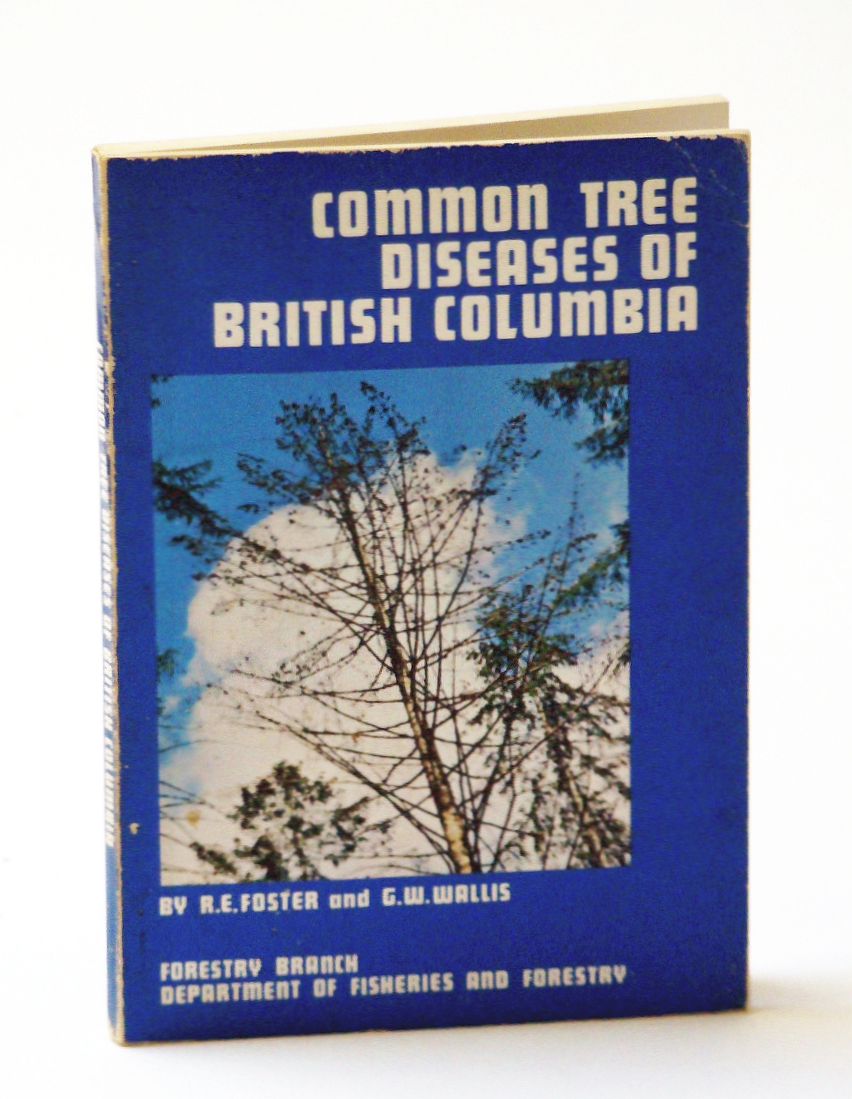 Image for Common Tree Diseases of British Columbia (B.C.)