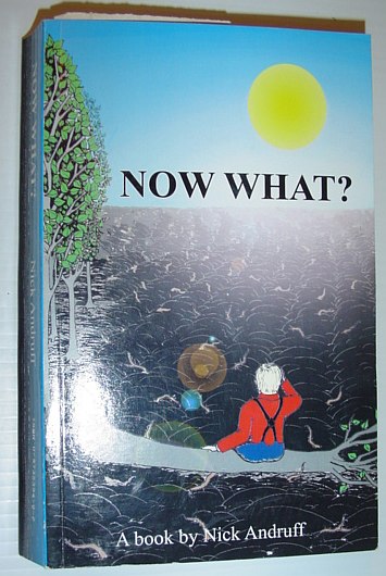 Image for Now What?