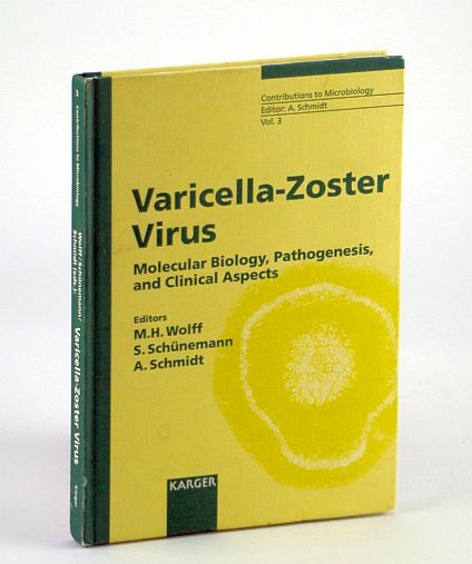 Image for Varicella-Zoster Virus: Molecular Biology, Pathogenesis and Clinical Aspects (Contributions to Microbiology, Vol. 3)