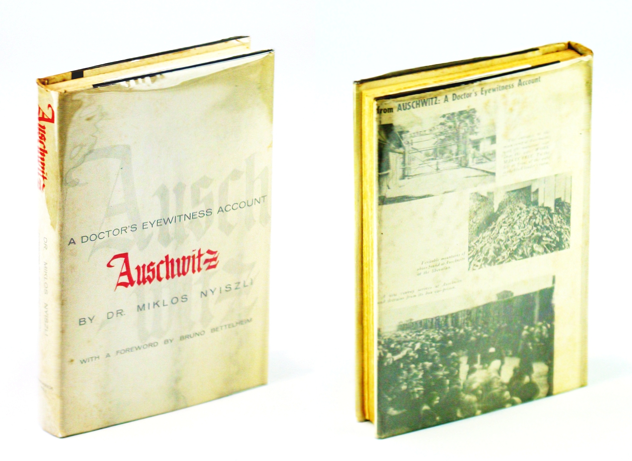 Image for Auschwitz - A Doctor's Eyewitness Account