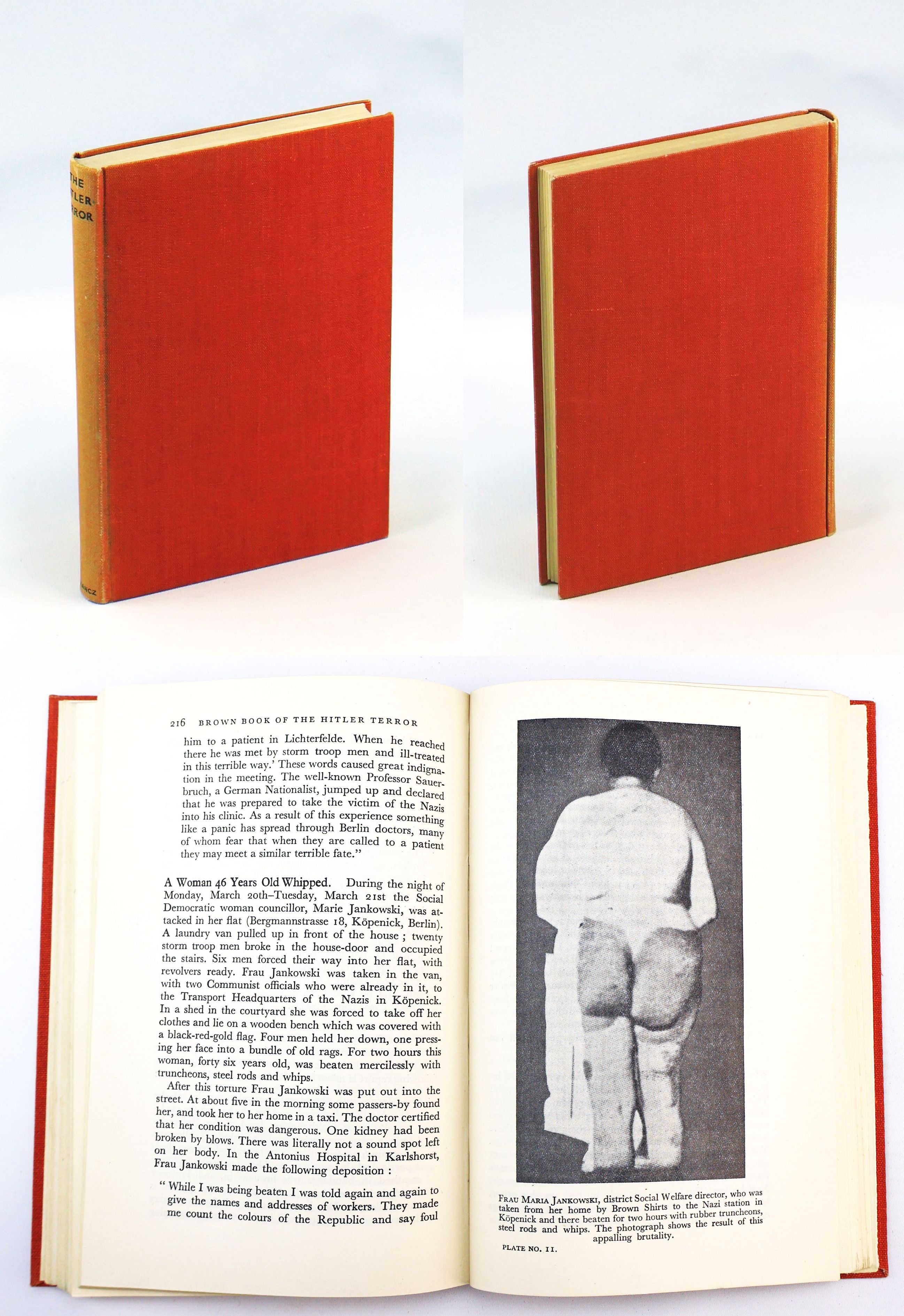The Brown Book of Hitler Terror and the Burning of the Reichstag